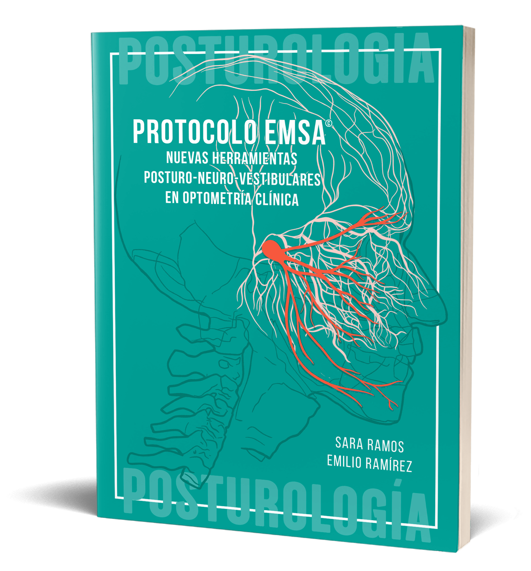 Protocolo EMSA®